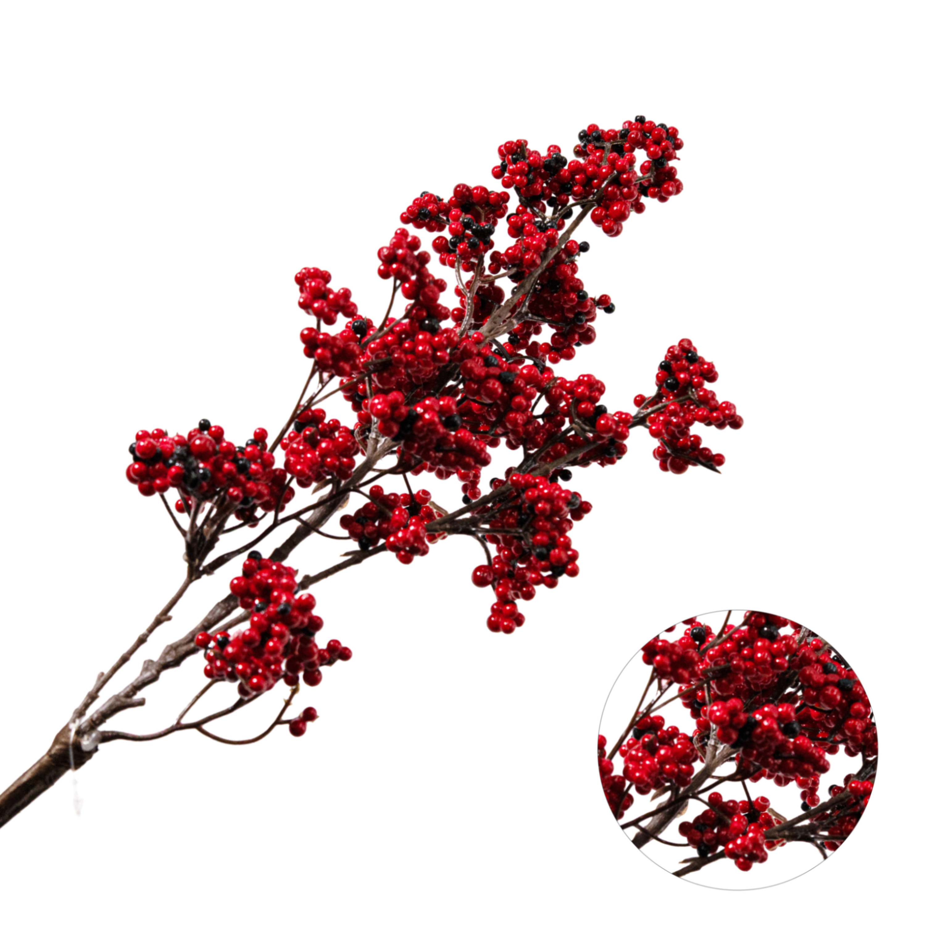 Азалия нэп-хилл Тунис